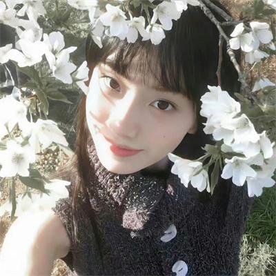 只羡鸳鸯不羡仙